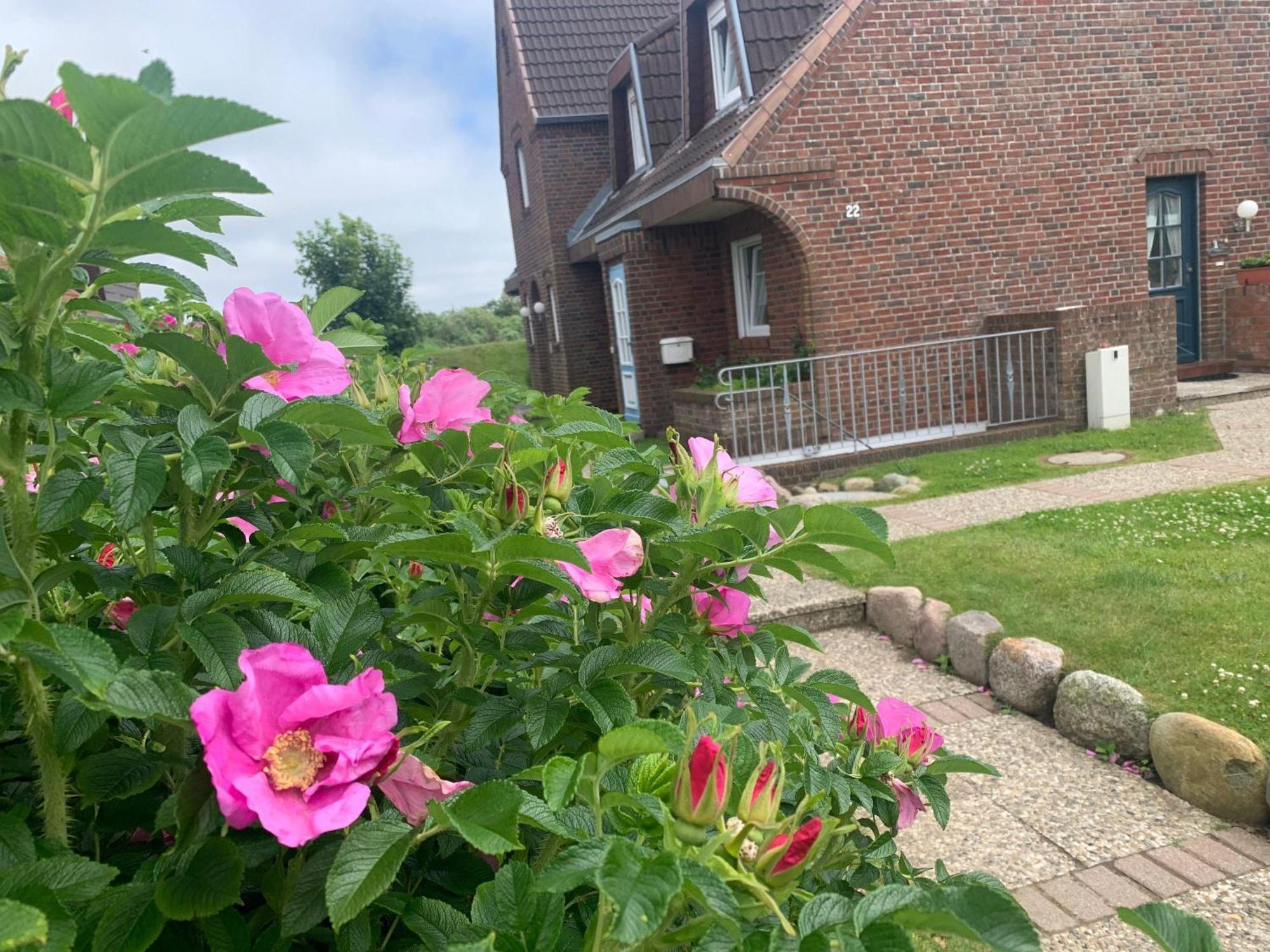 Sylter-Rose-3a Lejlighed Vesterland Eksteriør billede
